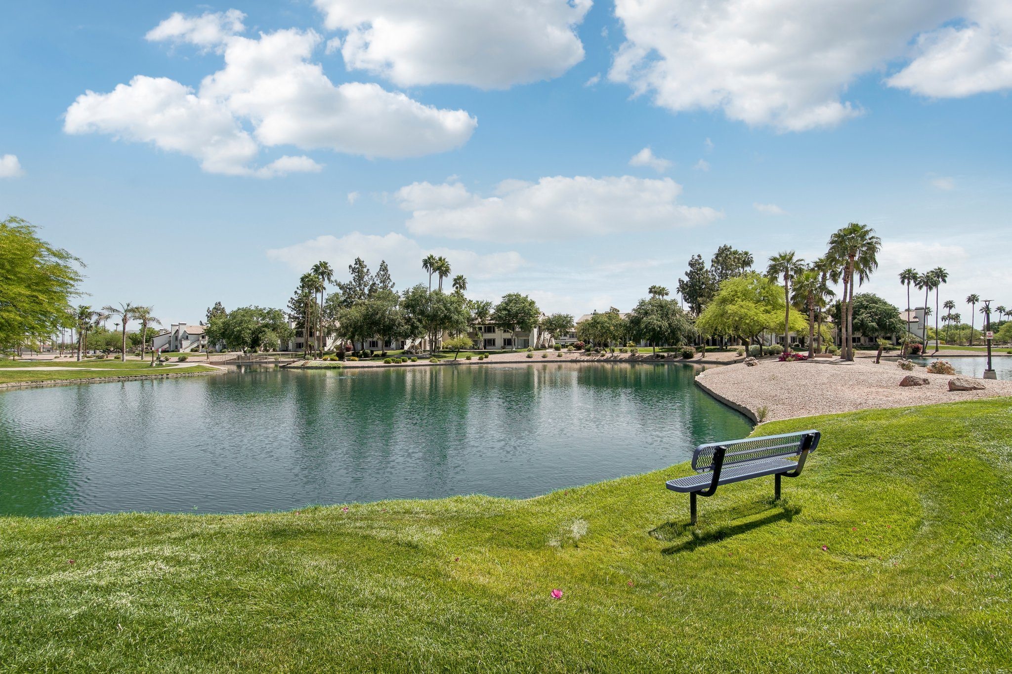 Lakeview At Superstition Springs photo 4